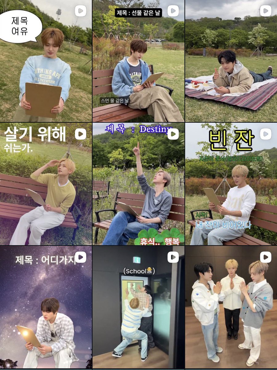 리이 tweet media