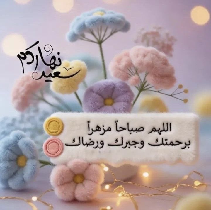 H98Raaa tweet media