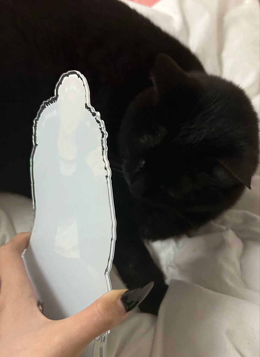 生き恥 tweet media