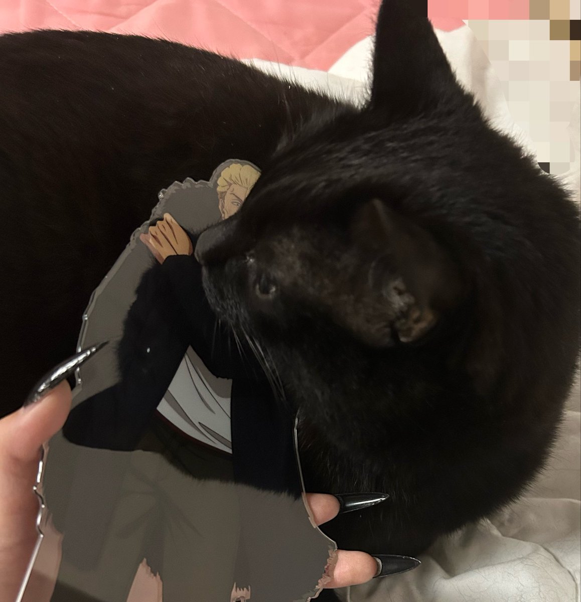 生き恥 tweet media