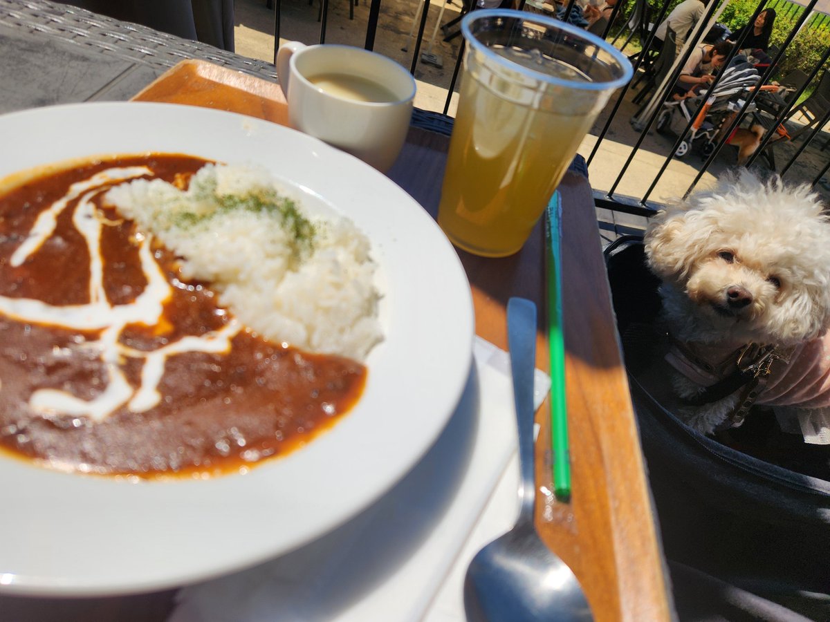 ゆか🇮🇹 🍄 🥞 tweet media