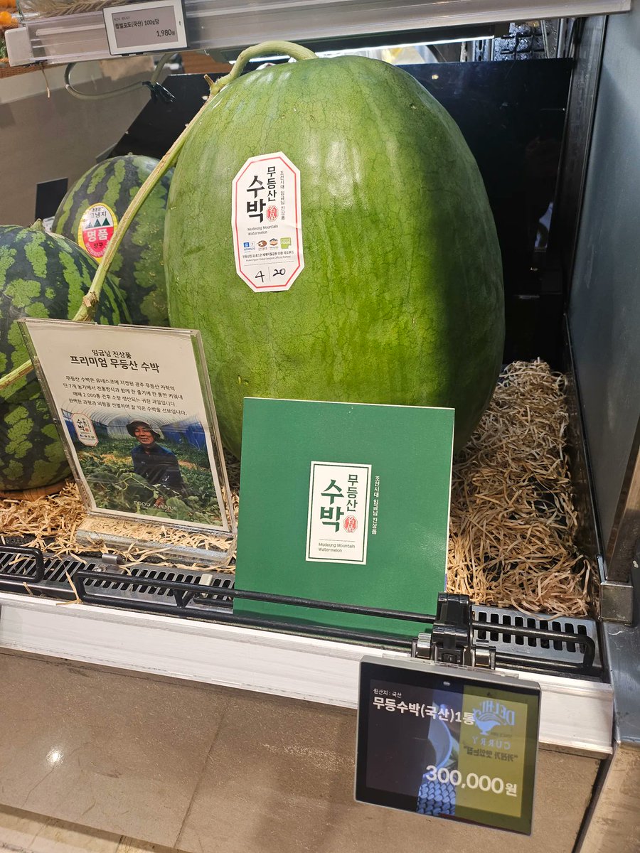 MC호랭이 tweet media