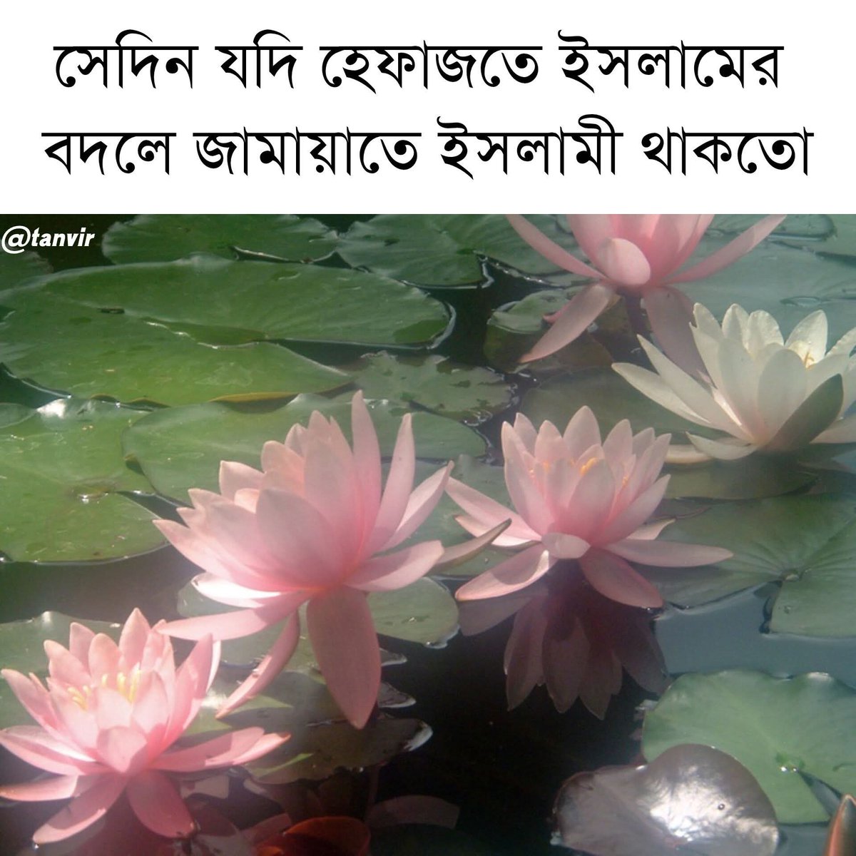Samantha akter 🇧🇩 tweet media