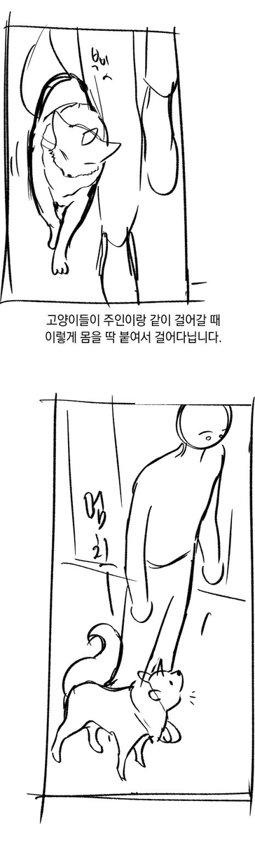 headbreaksung's tweet photo. 정말감동적인귀여움 https://t.co/gbZ27tLc7F