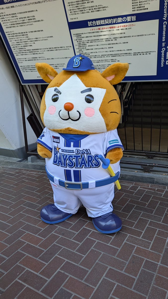 たぬ子 tweet media