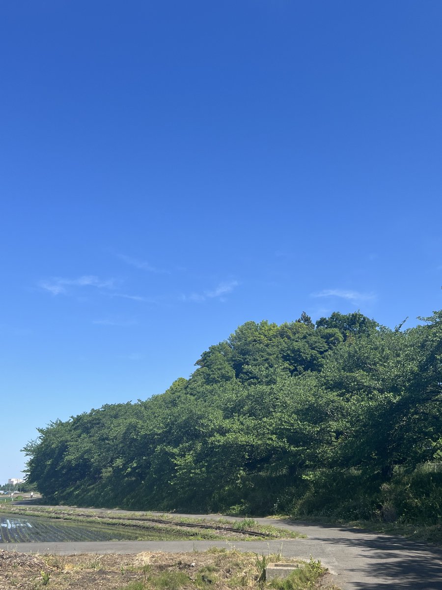 kzushimo's tweet image. 久しぶりの自転車🚲
新緑を堪能してきました
身体、痛い😓

#verge #tern #bicycles #サイクリング