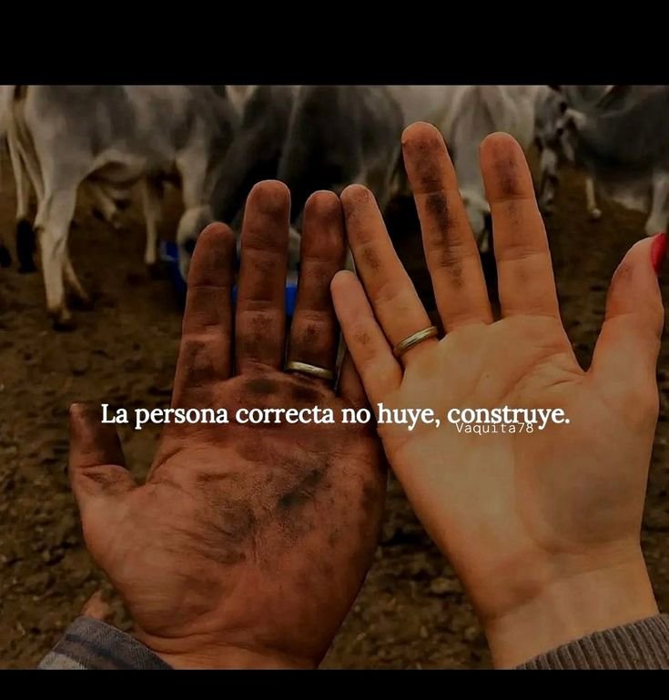 gonzabrizuela96's tweet photo. https://t.co/onCGCpjaan