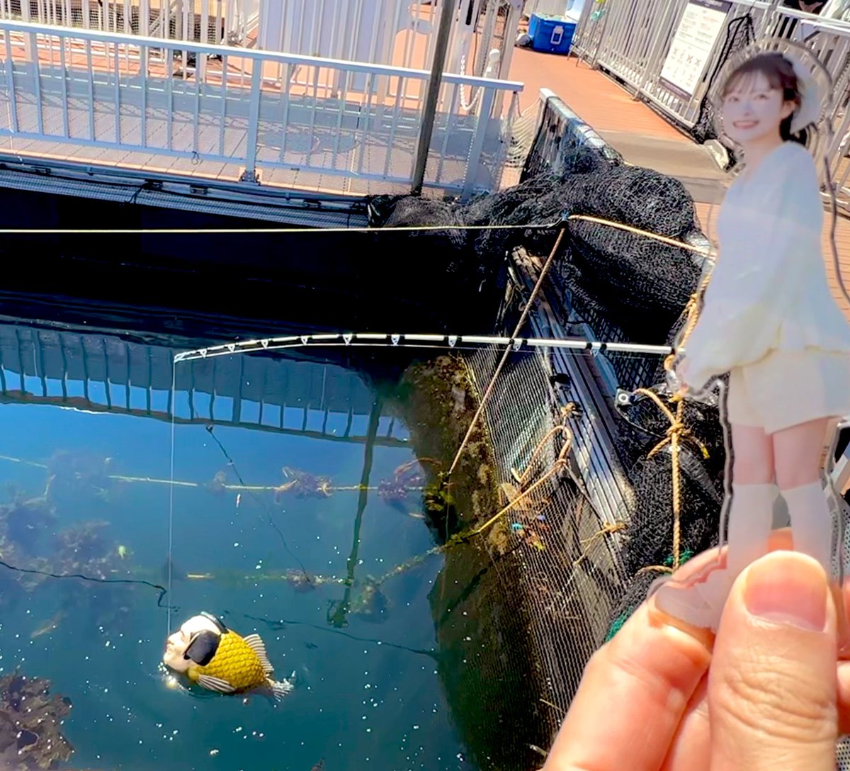 ういんぐ◯◇ tweet media
