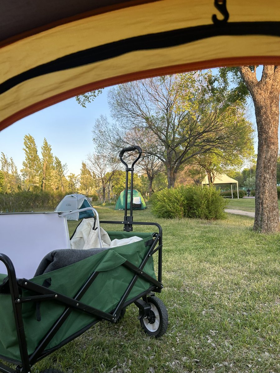한강에서 텐트치고 피크닉가기 좋은날씨🏕️ https://t.co/JMyeQjXdmy