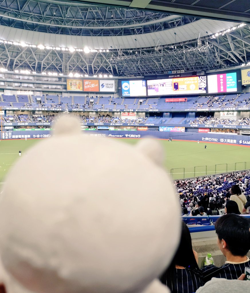 マミ🐮⚾2026年全力応援中✨⚾ tweet media