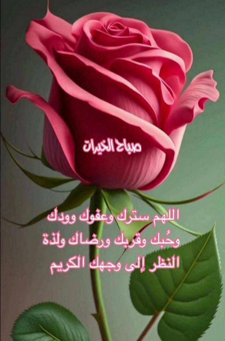 Alaa (@ksaalaa16g) on Twitter photo 