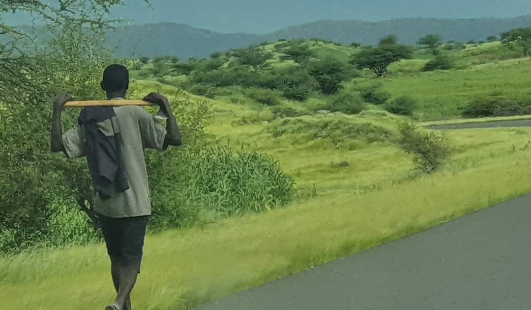 Sawa5hager's tweet image. #Eritrea🇪🇷 is rich in natural resources and stunning scenery and features an amazing geographical diversity of picturesque highlands and a temperate climate with charming landscapes and a pleasant climate which contrasts with the hot coastal areas.
#Eritrea_shinning 🇪🇷✊🏽🙌🏾