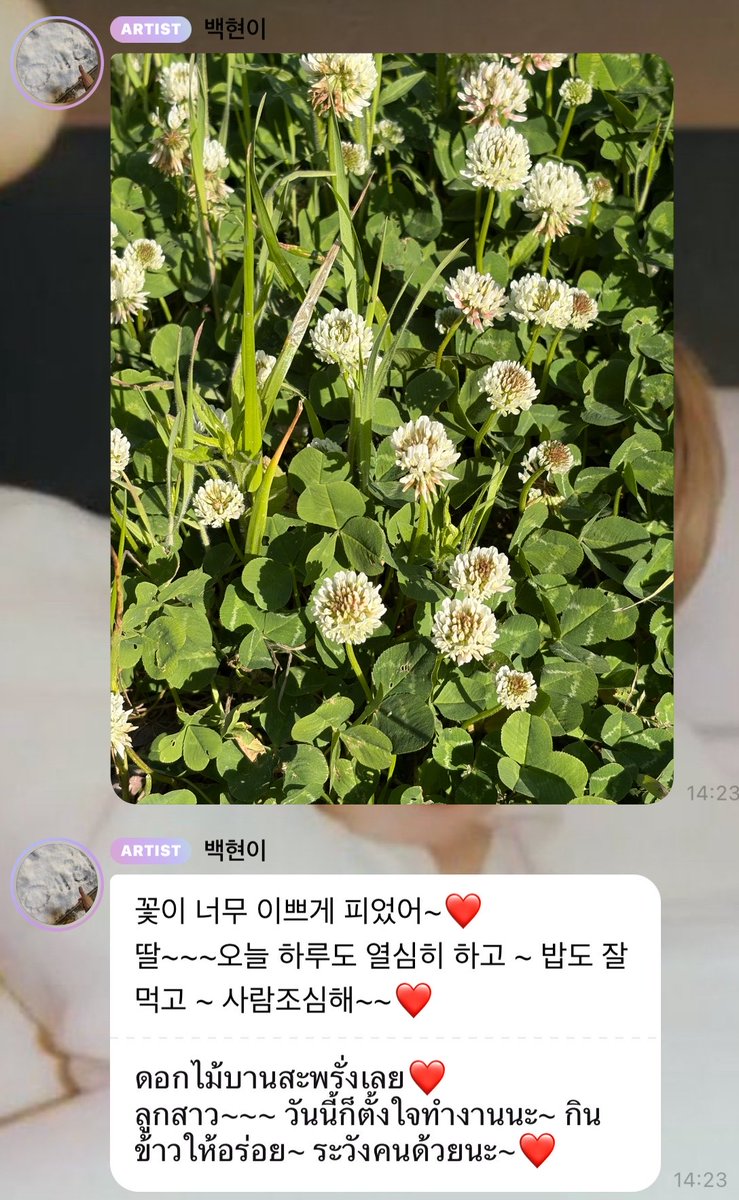 to the moon and yeol 🍀 tweet media