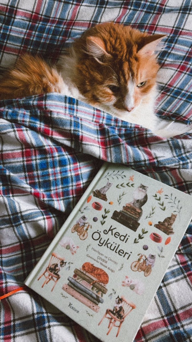 katibebartleby's tweet photo. #benimçevbirkitabım
#çevbirkitabım kedi öyküleri https://t.co/h1gKvKm27e