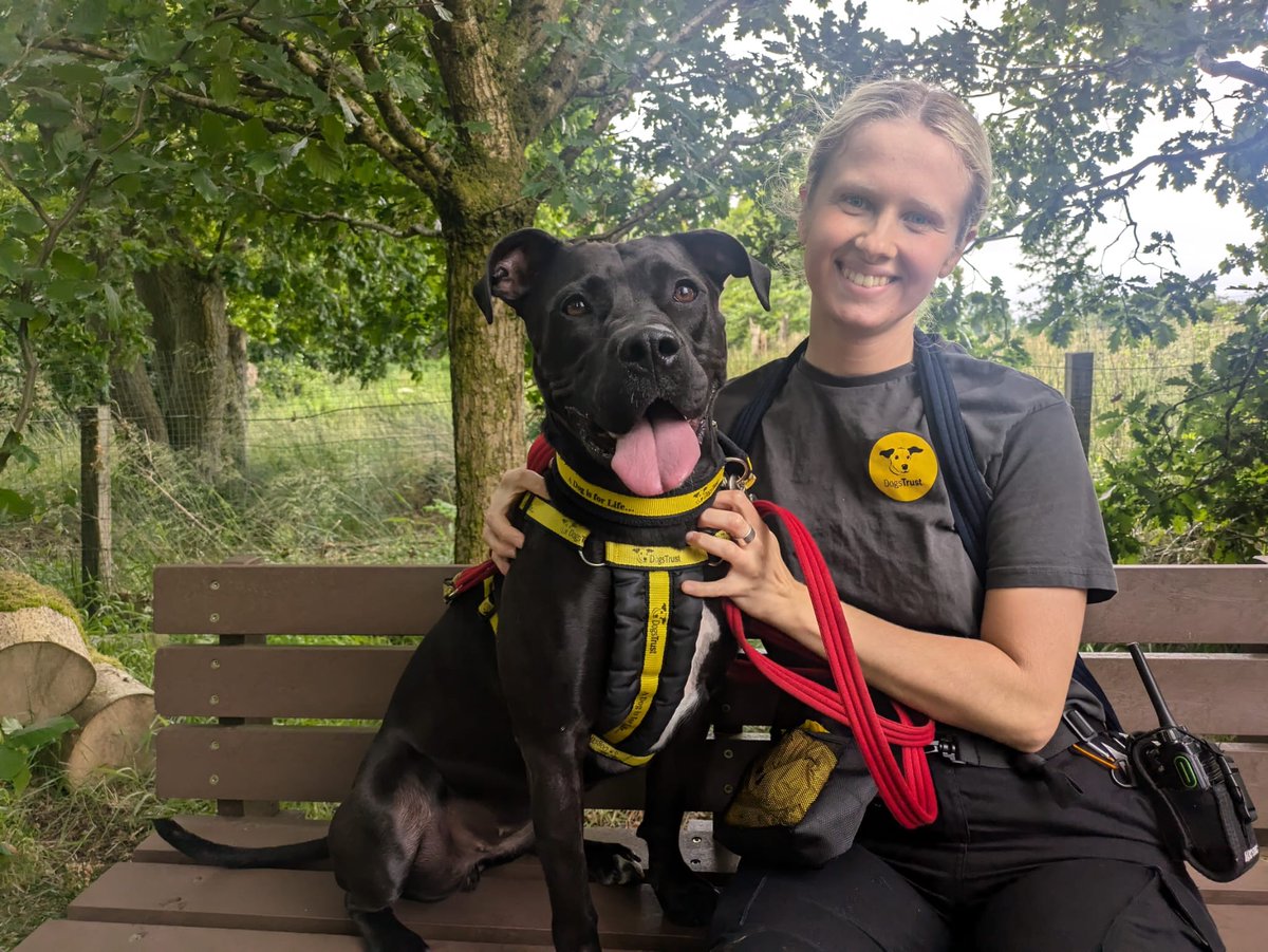 DogsTrust West Calder (Edinburgh) and Dundee tweet media
