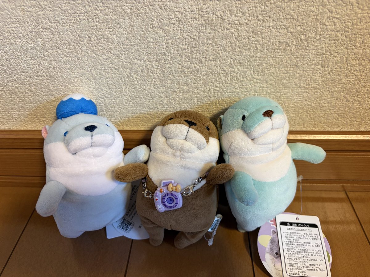 0418_c's tweet photo. @mochimochi_kaw 同じお友達を持つ者として
拡散ぐらいしかお力になれませんが無事見つかりますように(-人-) https://t.co/Q7f4zfDmjL