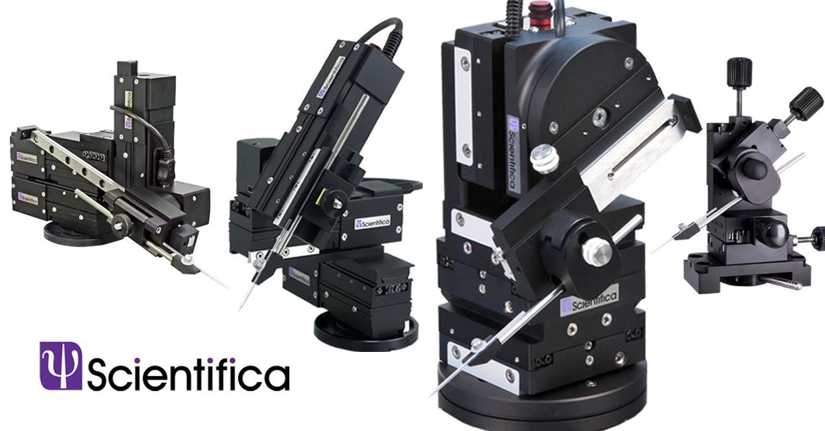 Scientifica tweet media