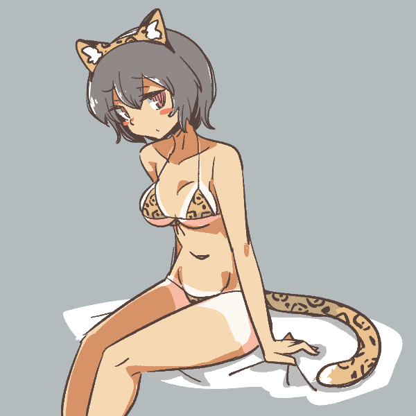タテハチャン 