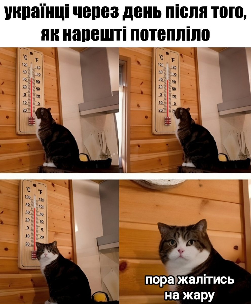 Сумське Бидло tweet media