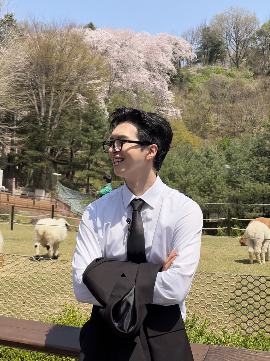 개인기 디자인 스쿨 tweet media