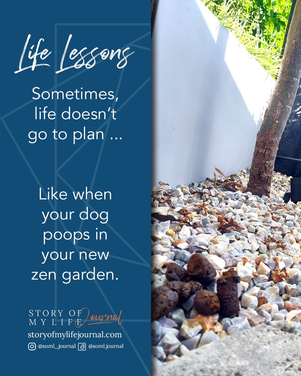 SOML_Journal's tweet image. LIFE LESSONS | Some days are diamonds, some days a dog poops on your stones 🤷
〰️ 📋

Find out more about us ▶️  bit.ly/3Gnf6rV

#mentalhealth #wellbeing #goalsetting