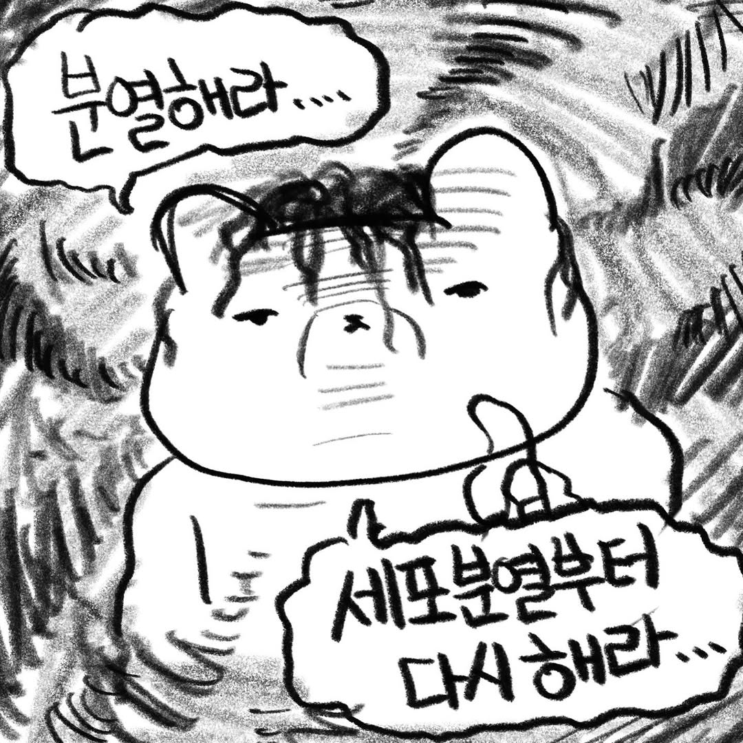 [특보] 오늘 개더스 잔루 20개