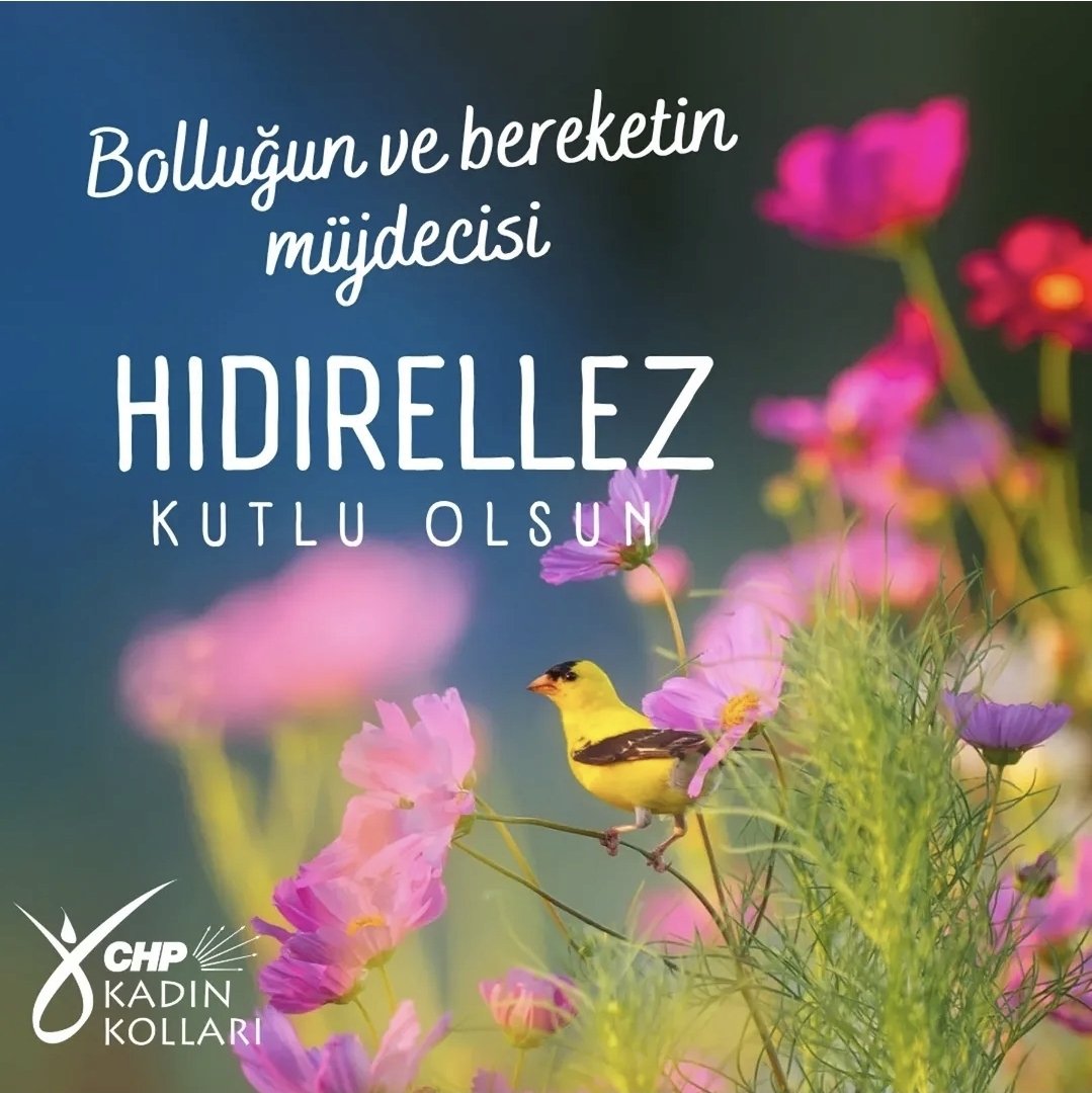 Şükran Güzel tweet media