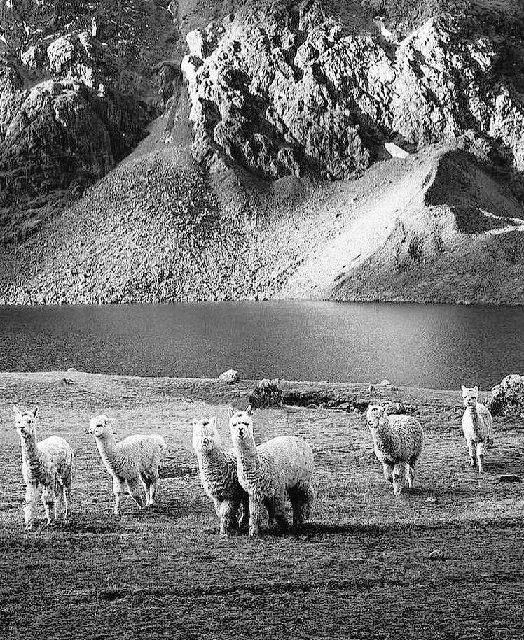 Marydrina's tweet image. #blackandwhite #bnw #bw #blackandwhitephoto