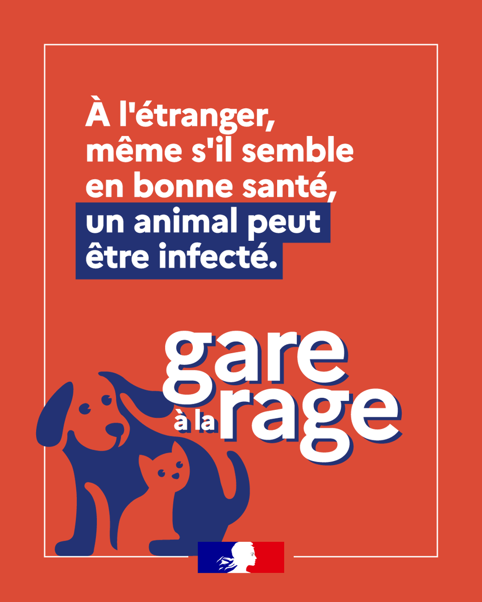 Image de Préfet des Pays de la Loire et de Loire-Atlantique - #MardiConseil | Gare à la rage !

✅ Faites vacciner votre animal avant un voyage à l'étranger
❌ Ne t