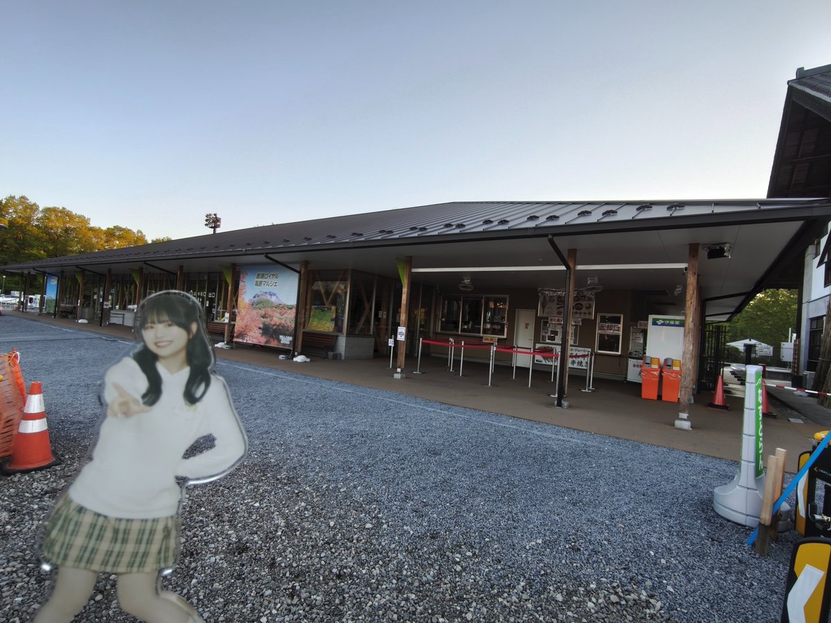 ふぉんふぉん tweet media