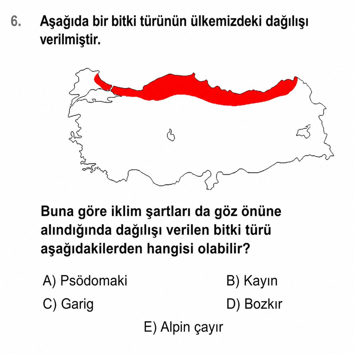Tarih & Coğrafya tweet media