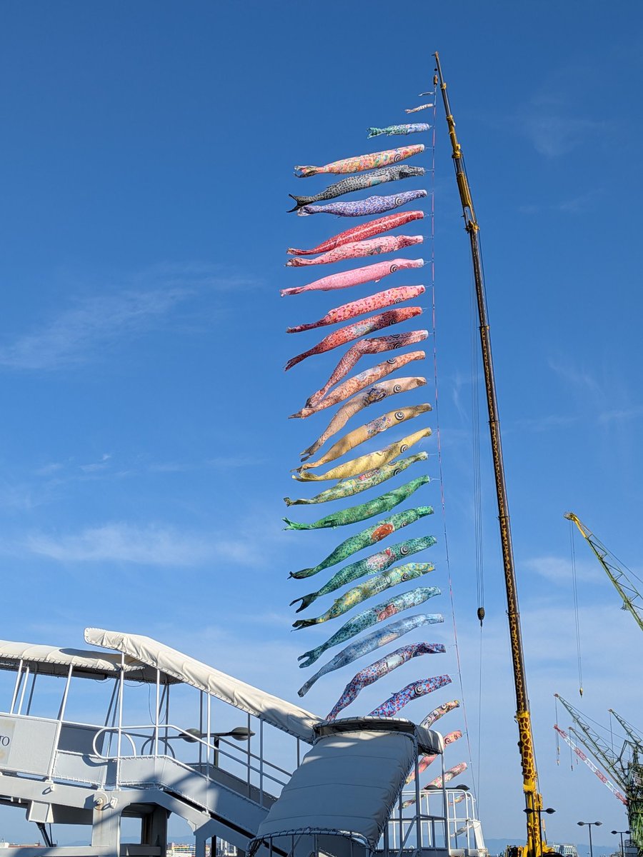 GenicKobe's tweet photo. 神戸ハーハーランドの今☀
海に鯉のぼり登場中だよ🎏😊
子供も大人も楽しんでます📸 https://t.co/iKa0RRHCDW