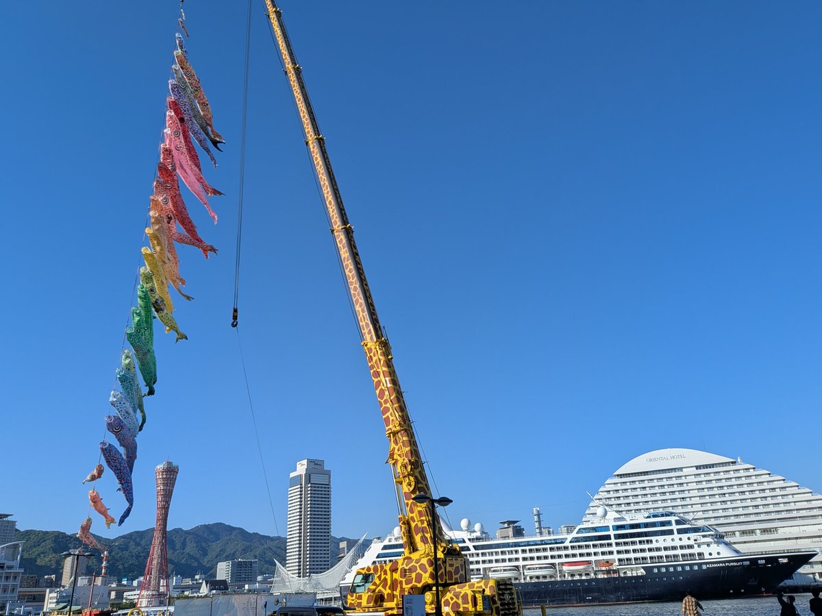 GenicKobe's tweet photo. 神戸ハーハーランドの今☀
海に鯉のぼり登場中だよ🎏😊
子供も大人も楽しんでます📸 https://t.co/iKa0RRHCDW