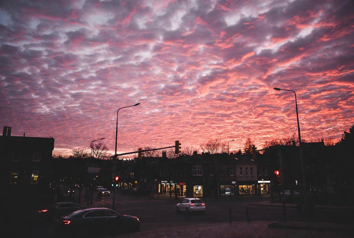 petalesblancs tweet picture