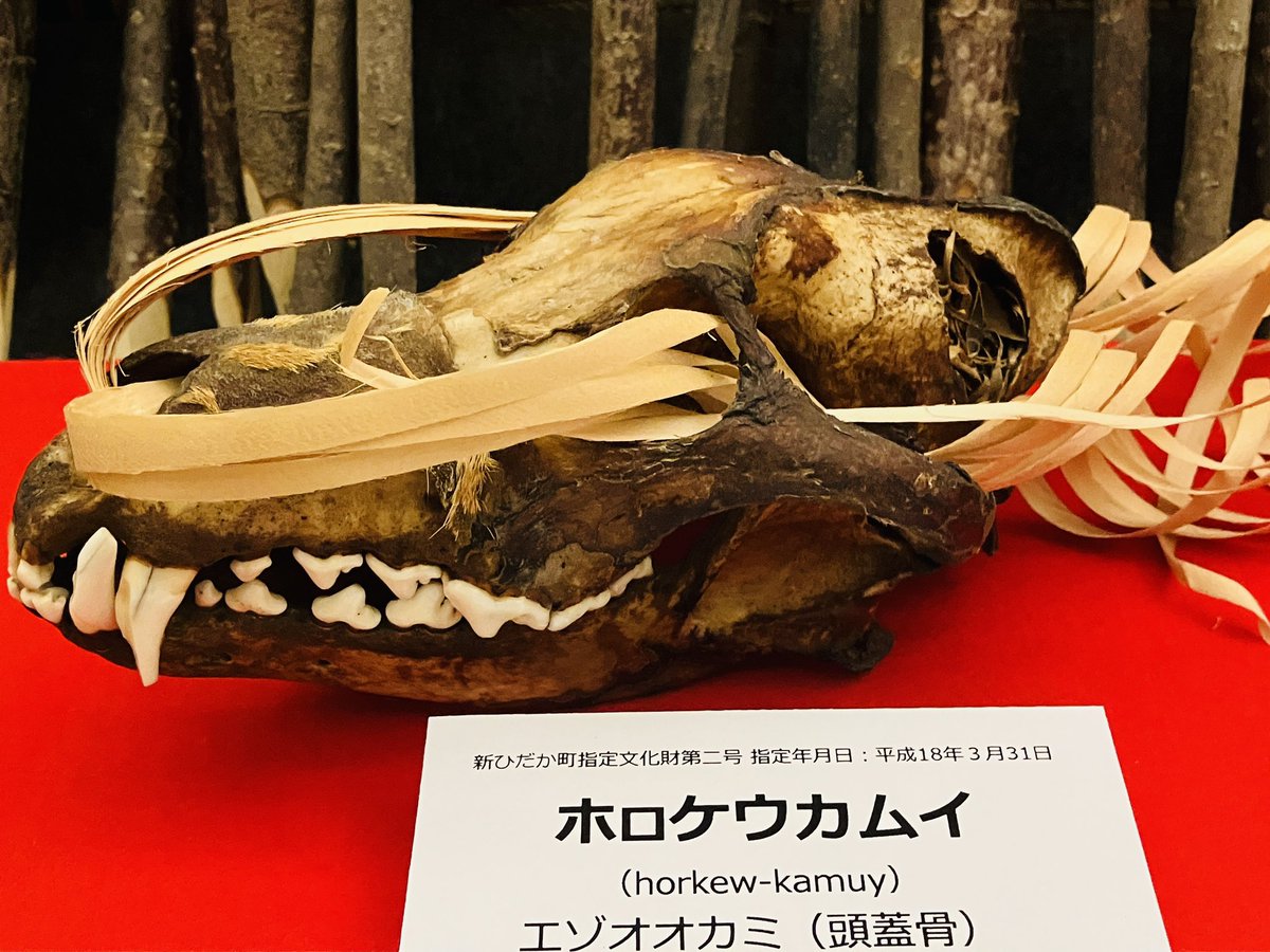 ここまできたらシャクシャイン
おお！ホロケウカムイだー！！貴重！