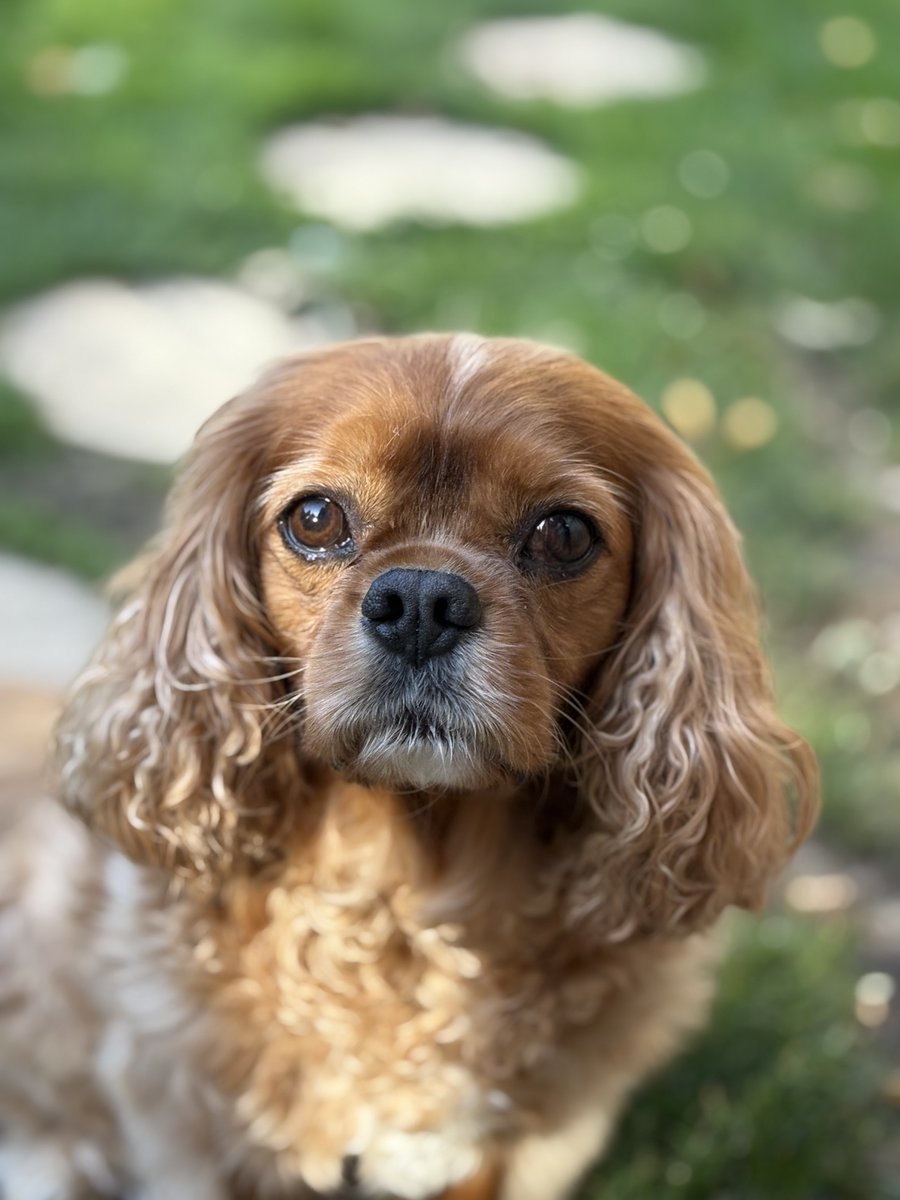 Could you say no to this face? 🥰😍🥹