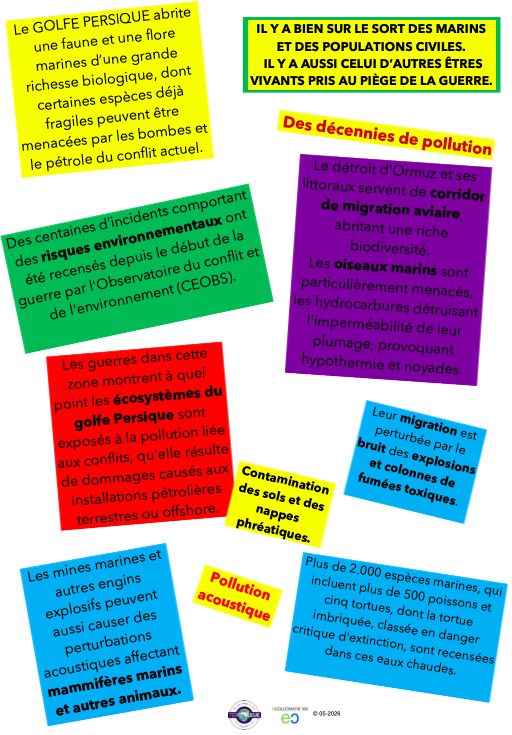 HGranouillac's tweet image. Tou·tes concerné·es par la #guerre au #MoyenOrient et cet Orient si Proche. Il y a bien sûr le sort des civil·es et des marins. L'Histoire le rappelle IL FAUT SAVOIR ARRÊTER UNE GUERRE, en voici quelques raisons :  #Ormuz #pollutions #animaux #mammifères #oiseaux #faune #flore