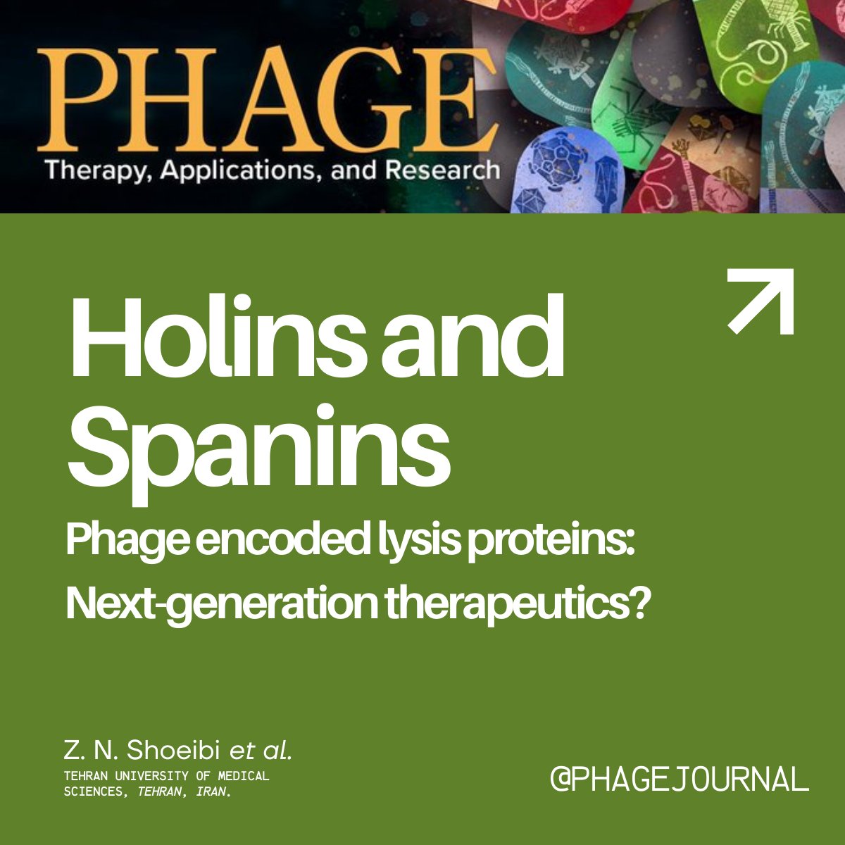 PHAGE: Therapy, Applications, and Research tweet media
