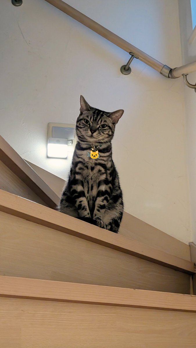 tachandroid's tweet photo. "お帰り"だそうで https://t.co/4HWEbzmndv