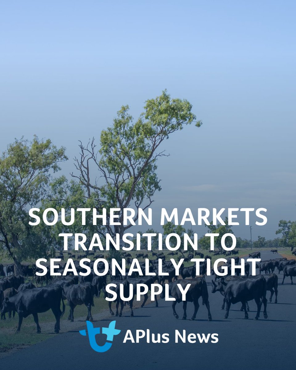 AuctionsPlus tweet media