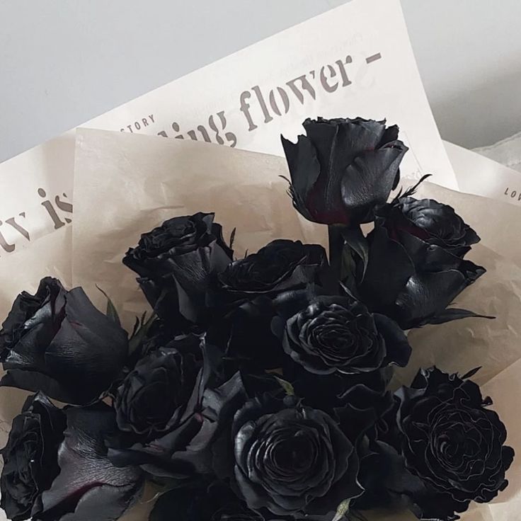 Yuta194743's tweet photo. Pinterest beni nasıl göruyo 

Planet:
Animal:
Flower:
Outfit:

#Void_Without_SevEN
#Boycott_BELIFT_Lab https://t.co/ANqk06x60d