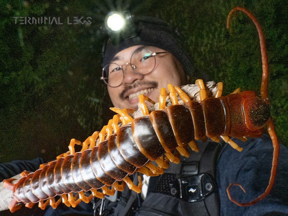 生物探検家トノムラ tweet media