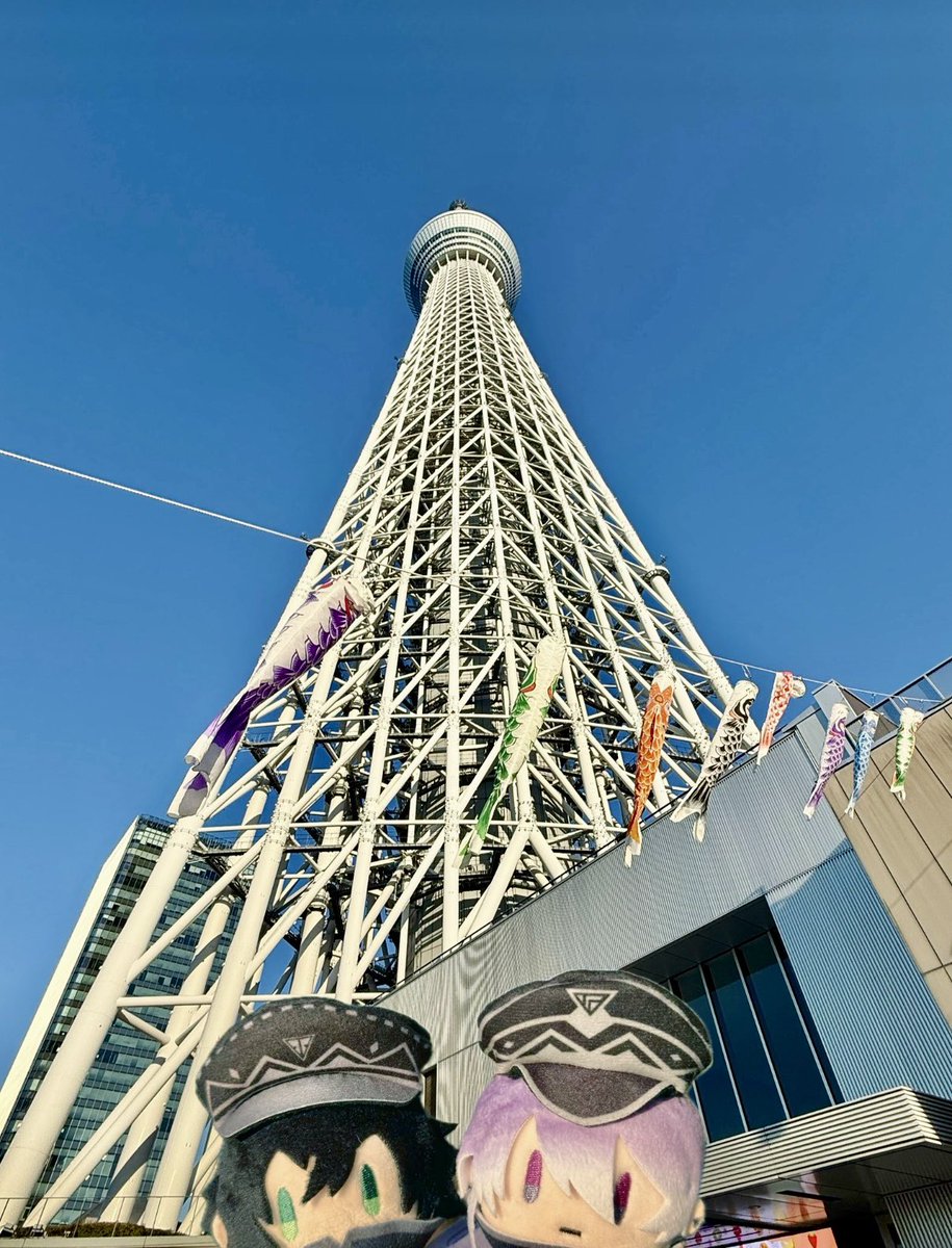 ののこ tweet media