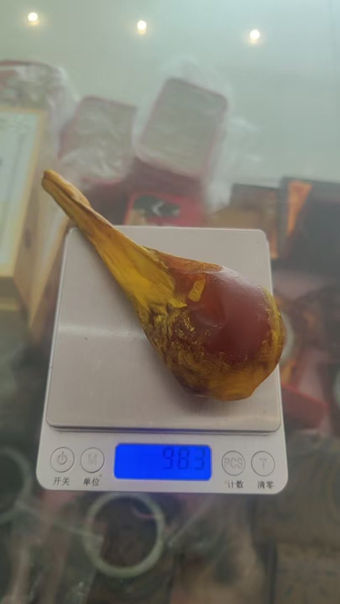 羚羊角、象牙、虎牙、虎皮 tweet media