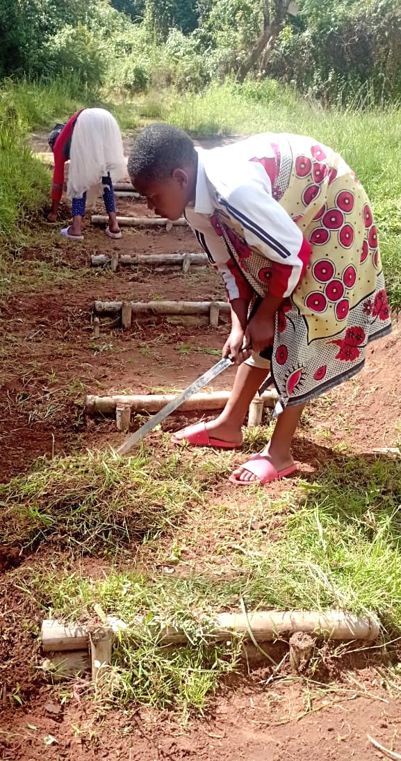 OITWPMG's tweet photo. Some of the children are tidying up the stepped path from their houses to the bus area at the ICV in Mufindi. #lovemufindi #igodachildrensvillage #milkformulamufindi #mufindihydroproject #yammufindi #orphansinthewild https://t.co/K4Dsw8OWA4