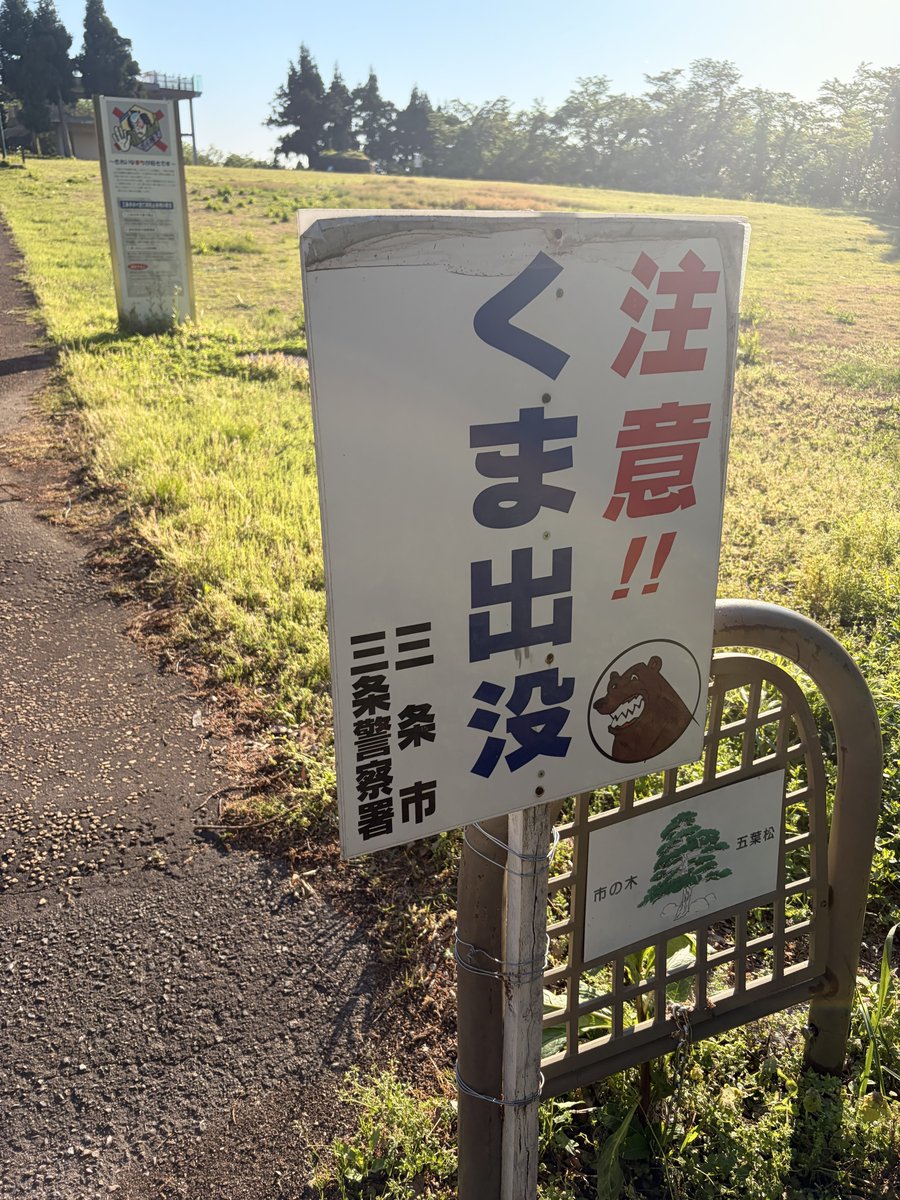 saki⚗️ tweet media