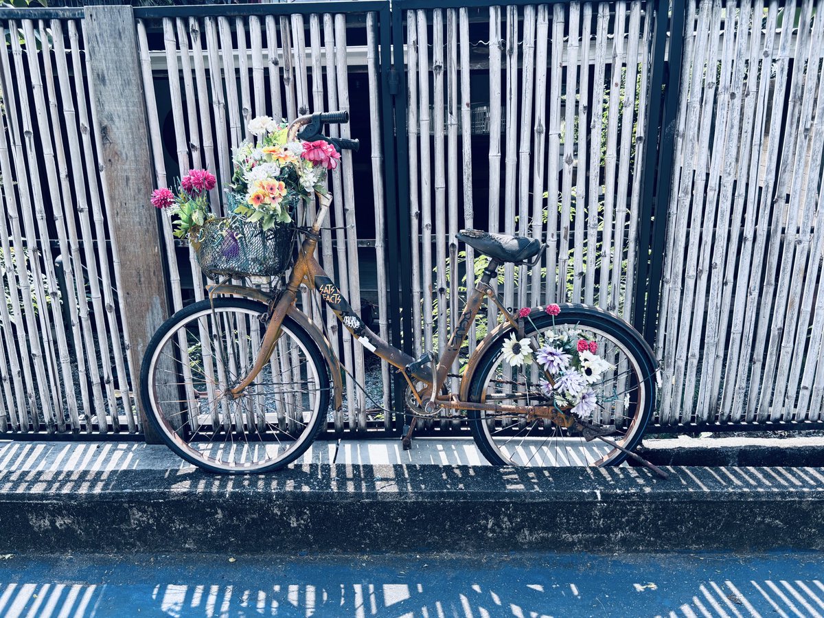DizzyXyz's tweet photo. Bicycle photography 📸
📍🇯🇵
📍🇹🇭
📸Nikon Zfc https://t.co/KQlwdSzWsM