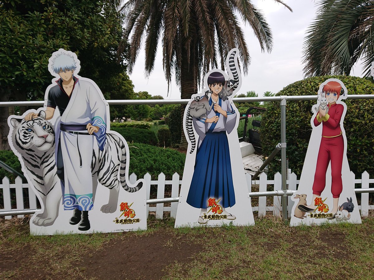 ren_wc's tweet photo. 東武動物公園×銀魂 いったよー https://t.co/c8oGq7IaUF