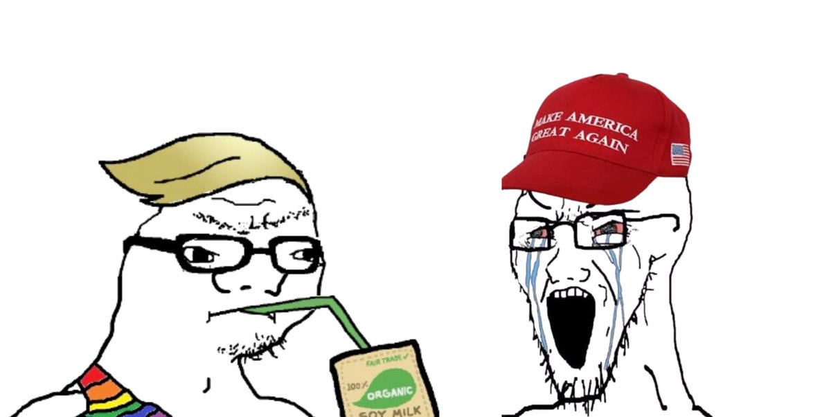 3450d_'s tweet photo. According to Twitter, there are only two types of people in the US:
Far-left anarcho-communist autistic trans furries, polyamorous jews from California. Or far-right racist rednecks from Louisiana who only watch "football", praise Jesus and fuck their sister in a Ford F-150 trunk https://t.co/t6lTQqM9xI