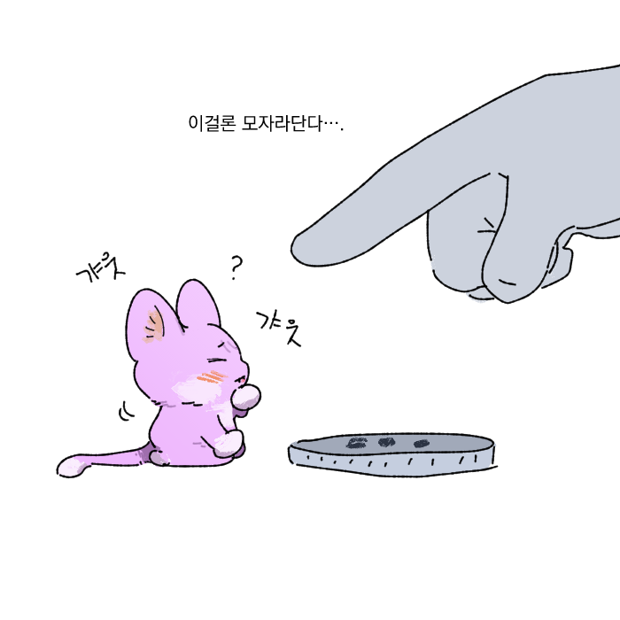 금수 tweet media